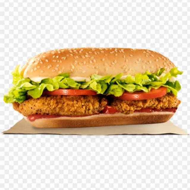 Special Chicken Petty Burger